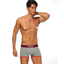 Underpants Fashion Wholesell Underwear Mens Multi-colors Cotton Men Boxers For Male Long Leg Underpsnty Briefs