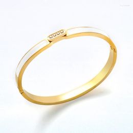 Bangle High Quality Luxury CNC Stone White/Pink Color Enamel Bracelet For Men Women Wedding Party Jewelry Gift Raym22