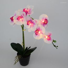 Table Lamps 20" (50cm) LED Blossom Orchid Flower Bonsai 7PCs WarmLED With 2 Battery Pot 7 PCs Real Touch Flowers Buds