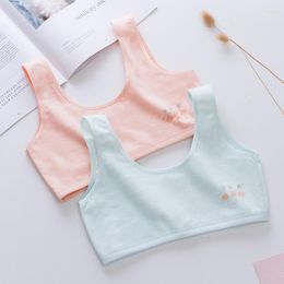 Camisoles & Tanks Underwear Female Student Girl Pure Cotton Junior Double Layer Anti-bump Development Little Small Tank Top Bra