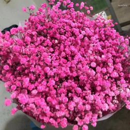 Декоративные цветы 100G Big Bunch Babysbreath Натуральный сушеный консервированный Gypsophila Decor Dec