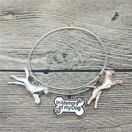 Bangle Trendy Belgian Malinois Bangles Cute Dog Bracelets Fashion Pet Jewellery Melv22