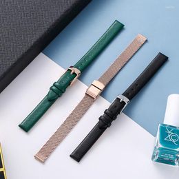 Watch Bands Cowhide Band Genuine Leather 8MM 10MM 18mm 20mm 22mm Smooth Women Men Strap Green Belt 8colors With Tools Deli22