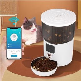 Cat Bowls Feeders 4L Pet Feeder Cat Dog Smart Food Dispenser Regular Quantitative Feeding With Audio Recording Feeding Bowls Pet Supplies 230625