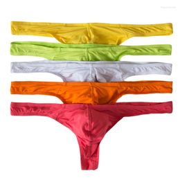 Underpants AIIOU 5PCS/Lot Men Ultra-thin Modal Bikini Underwear G-Strings & Thongs Solid Color Gay Sissy Panties For