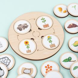 Action Toy Figures Life Cycle Board Montessori Kit Biologi Science Education Toys for Kids Sensory Tray Animal Figure Sorting Wood 230621