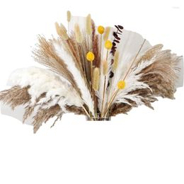 Decorative Flowers 110PCS Dried Pampas Grass Boho Decor Natural Fluffy For Bathroom Office