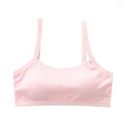 Camisoles & Tanks Developing Adolescent Girls' Vests Primary School Middle Lingerie Children's Inner Wear Of Wrapped Bra