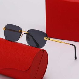 Wholesale of sunglasses New Leopard Head Men's Fashion Trend Frameless Sunglasses Women's Optical Glasses