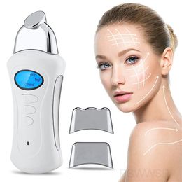 Face Massager Handheld Galvanic Spa Nu Electroporator Skin Tightening Machine Microcurrent Lift Current Device Care p230621