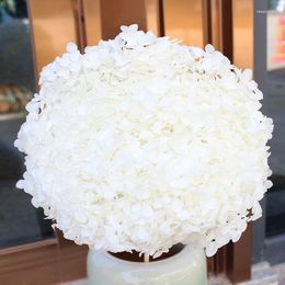 Decorative Flowers 15-20CM Head Preserved Fresh Hydrangea Eternal Dried Real Nature Plants Wedding Home Decor Natale Decorazioni