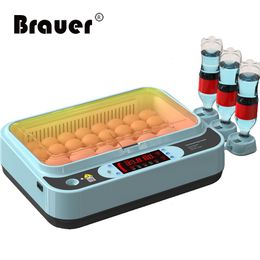 Incubators 220V Eggs Incubator Brooder Bird Quail Incubator Chick Hatchery Incubator Poultry Hatcher Turner Automatic Farm Incubation Tools 230625