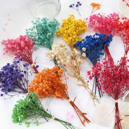 Dried Flowers Mini Gypsophila Preserved Natural Bouquet For Babysbreath Home Wedding Decoration Photography Backdrop Decor