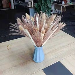 Dried Flowers Cream Grass Fluffy Room Phragmites Decoration Natural Bunny Bouquet Home Decor