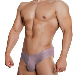 Underpants Fashion Sexy Men Modal Gay Mens Underwear Briefs Low Waist Bikini Cuecas Penis Pouch Soft Comfortable AD325