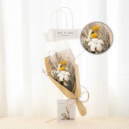 Dried Flowers Naturally Bouquet With Gift Bag Forget-Me-Not Rose Daisy Birthday Valentine's Day Photo Props Home Decoration