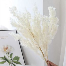 Dried Flowers Beautiful Flower Natural Decorative Colourful Penglai Song Preserved Home Living Room Decoration Wedding Decor