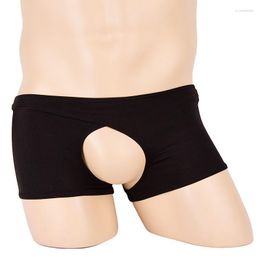 Underpants Men's Underware Sexy Male Open File Underwear Breathable High Waist Black Mens Briefs Fashion Boxer