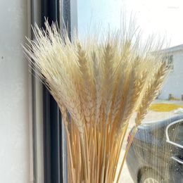 Decorative Flowers 50Pcs Real Wheat Ear Natural Dried Wedding Decoration Vase Bridal Bouquet Artificial For