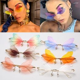 Motorcycle Sunglasses 2023 Vintage Dragonfly Butterfly Steampunk Gradient Clear Lens Glasses Shades For Women