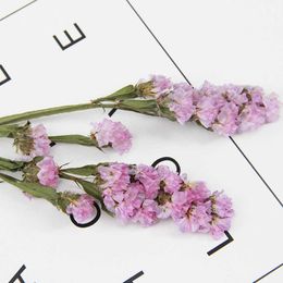 Dried Flowers Natural Flower Small Real Floral Plants Beautiful Bouquets Gifts Decoration Home Decor For Resin Epoxy Art Craft