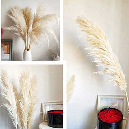 Dried Flowers Palm Fan Leaf Plants Natural Large Grass Rose Flower Row Arrangement Wedding Backdrop Decor DIY Wall Hanging Floral Table