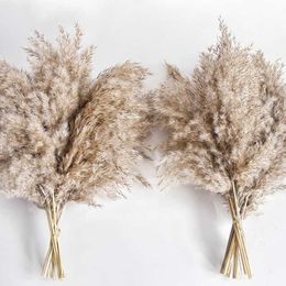 Dried Flowers Small Grass Natural Plants Reeds Bunch DIY Craft Wedding Bouquet Photography Props Home Decoration Supplies