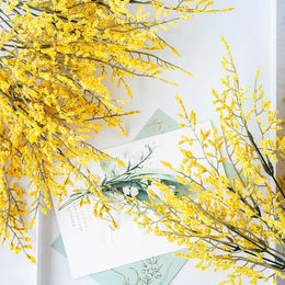 Dried Flowers Natural Fresh Preserved Forget My Flower True Forever Crystal Lover Grass Branch for Wedding Home Decoration Lemon Static