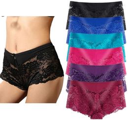 Underwear Women's Plus Size Regular & Panties Sexy Lace Boyshort Hipster Cheeky Panty- 6 Pack V1rA#Women's