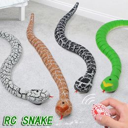 Electric/RC Animals RC Snake Toys for Kids Girls Children Remote Control Animals Electric Horror Novelty Gags Practical Jokes Prank Boys Toy Robots 230625