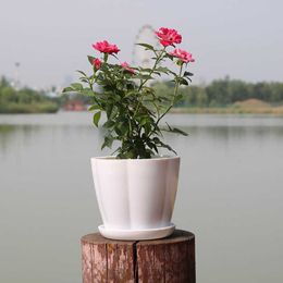 Planters Pots Sizes Flower Pot Round Planters Mini Flowerpot for Succulents Home Office Decor Planting HIgh Quality Plant Pot