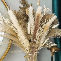 Dried Flowers Grass Natural Real Fluffy Plants Bulrush In Bouquet Small Reed For Phragmite Wedding Arrangement Home Decor