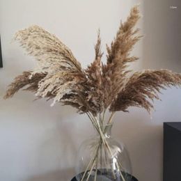 Decorative Flowers 10/20pcs Pampas Grass Decor Plants Home Wedding Dried Bunch Feather Natural