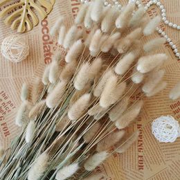 Dried Flowers 20PCS Bunny Grass Natural Wheat Ear Dry Flower Wedding Marriage Decoration Home Living Room Decor Accessories