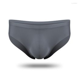 Underpants 2023 Sexy Men Underwear Briefs Transparent Seamless Panties Male Penis Solid Slim Thin Ice Silk Ropa Interior Homme