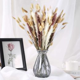 Dried Flowers 90Pcs/lot Cream Grass Fluffy Room Phragmites Decoration Natural Bunny Bouquet Home Decor