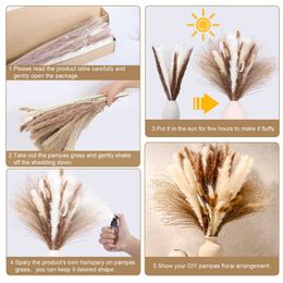 Dried Flowers Natural Fluffy Grass Bouquet Set Home Decor Pompous Large Reed Bunny Wheat Stalk Decorative