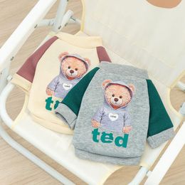 Dog Apparel Teddy Bear Trend Sweater Cat Clothing Small Pet Spring Puppy Clothes Pomeranian