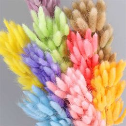 Dried Flowers pcs/lot Natural Flower Rabbit Grass Wheat Home Decor Lagurus Wedding Decoration Bouquet Reeds 15 Pampa grass