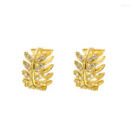 Stud Earrings 925 Silver Needle CZ Crystal Olive Leaf Hoop For Women Fashion Jewellery Girl Gift