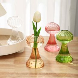 Planters Pots Simple Pumpkin Cone Glass Vases Transparent Glass flower pots for Home Hydroponic Flower Livingroom Office Table Decor