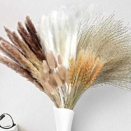 Dried Flowers 70pcs Natural Grass Bouquet Pompous Decor Bunny Tails Reed Plants Branches Fluffy