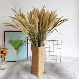 Dried Flowers Rabbit Lagurus Ovatus Grass Natural Wedding Arrangement Accessories Photo Props Decoration Home Table Decor