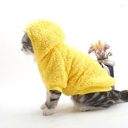 Dog Apparel Puppy Clothes Winter Hooded Sweater Cotton Velvet Solid Color Kitten For Small Dogs