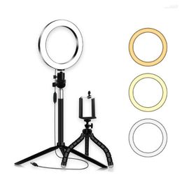 Flash Heads 20cm/8inch LED Ring Light 3 Colours 3500-6500K Temperature 10 Levels Dimmable With Tripods Phone Holder For Video Lighting