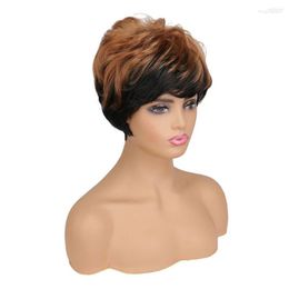 Synthetic Wigs WHIMSICAL W Hair Women Short Black Brown Mix Colour For Female Haircut Puffy Straight Natural Wig