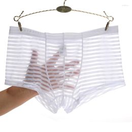Underpants Men Underwear Boxer Stripe Men's Mesh Transparent Low Waist Ultra Thin Ice Silk Sexy Breathable