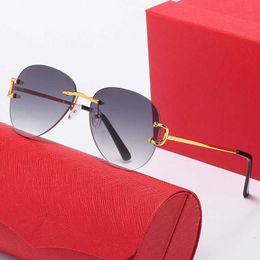 Brand sunglasses New Europe and America Big Frame Toad Men's Frameless Fashion Women's Cross border Sunglasses 410