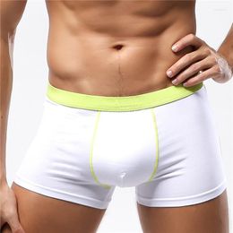 Underpants Boxer Men Underwears Mens Underwear Brand Boxers Comfortable Breathable Sexy 3D U Cuecas Calsoncillos Hombre