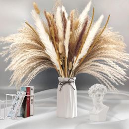 Decorative Flowers 65Pcs Small Dried Flower Pampas Grass Arrangement Natural Reed Tail Bouquets Feathers For Wedding Home Style Boho